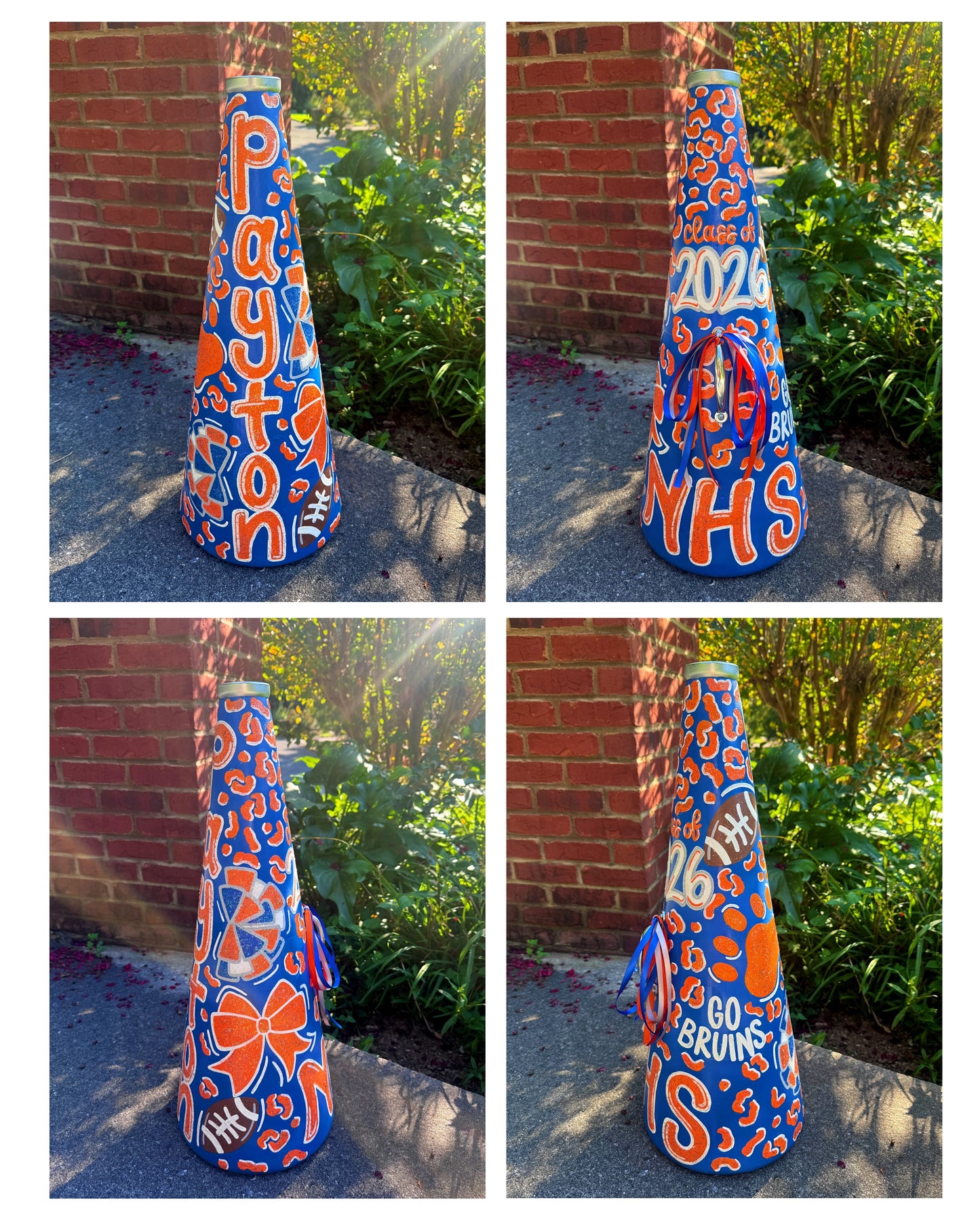 Cheer Megaphone